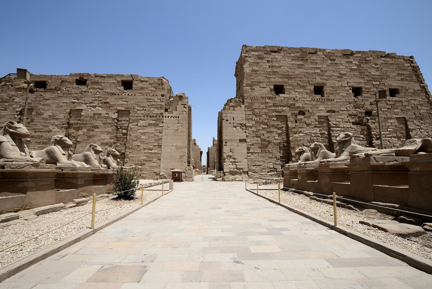 The avenue of ram-headed sphinxes at Karnak