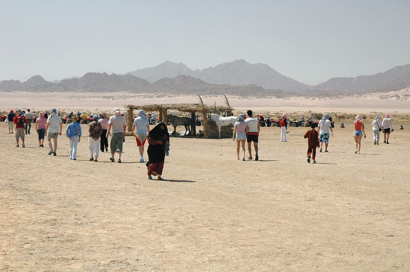 A Bedouin stop on a desert ride in South Sinai