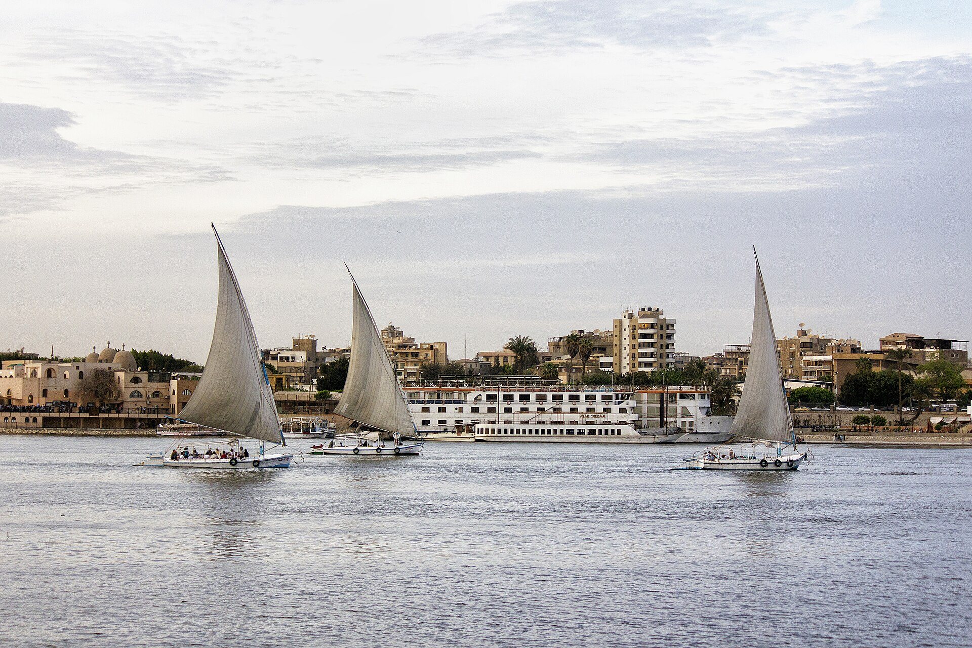 Feluccas sailing on the Nile in Cairo