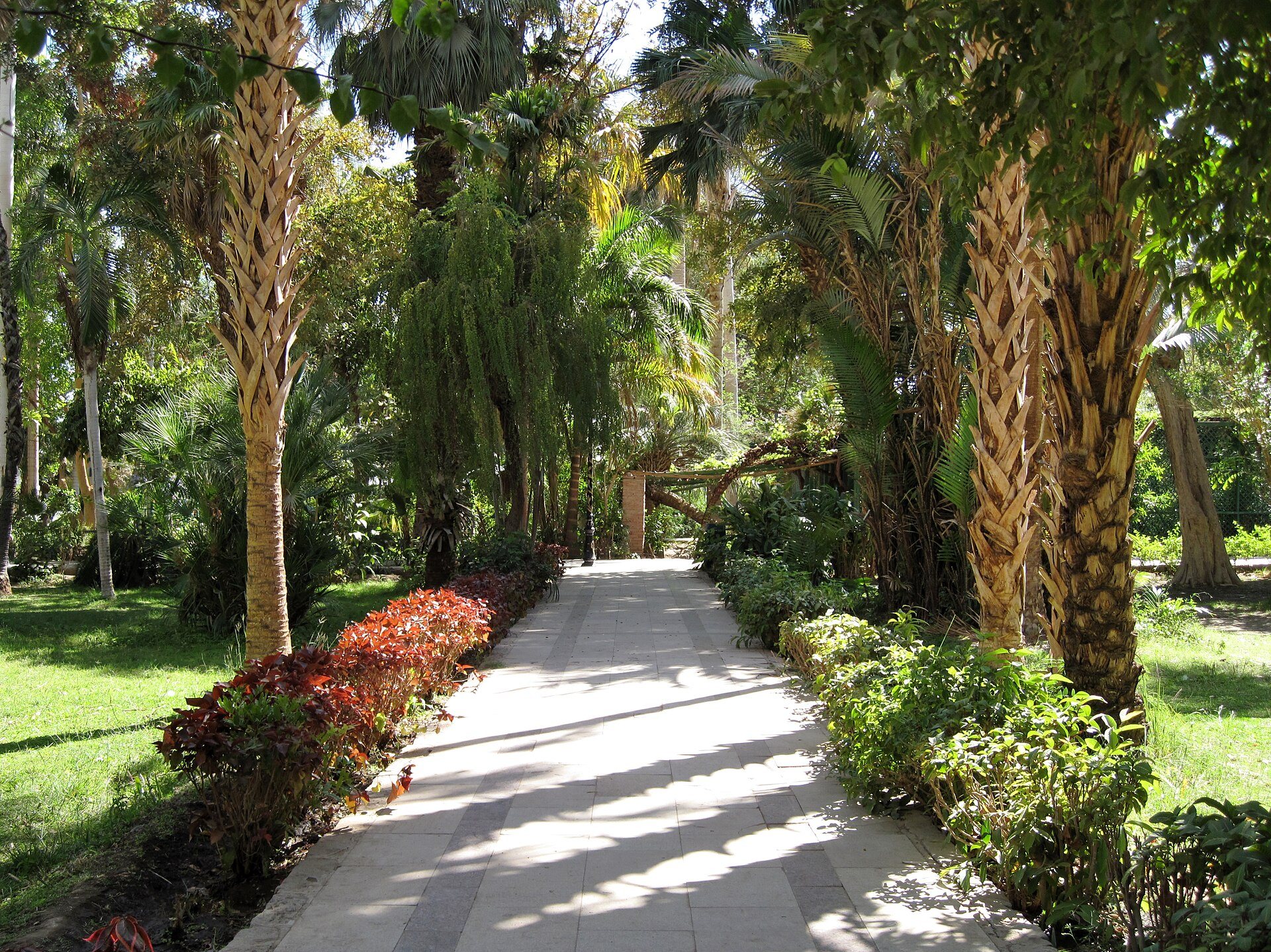 A walkway in the botanical garden on Kitchener's Island, Aswan