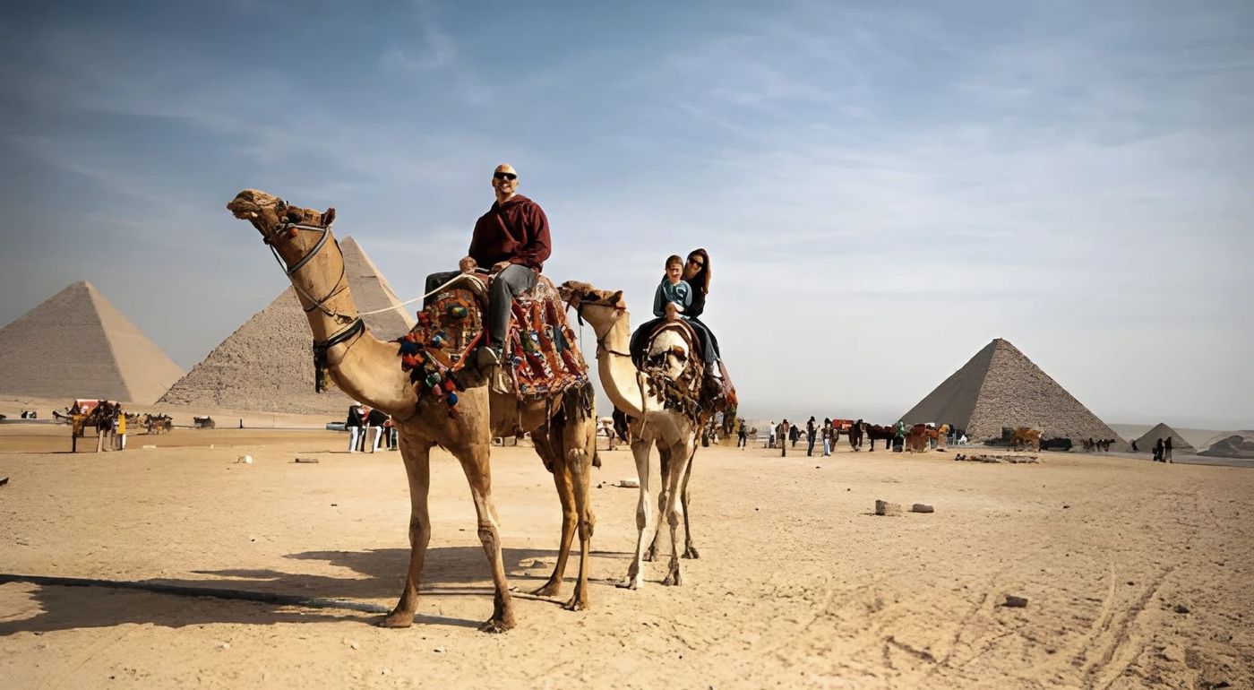 Camels with riders at the Giza pyramids