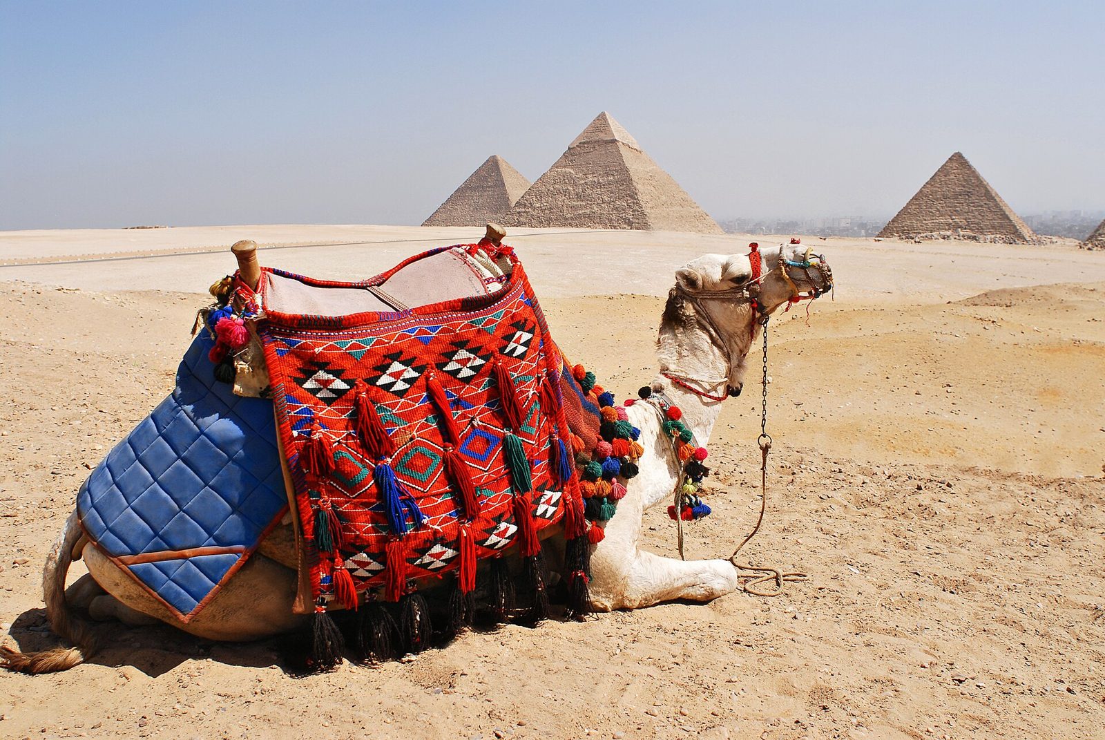 Pyramids of Giza